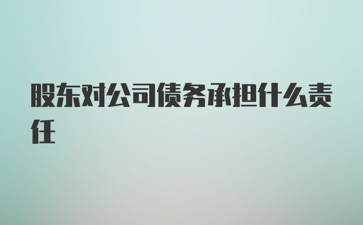 股东对公司债务承担什么责任