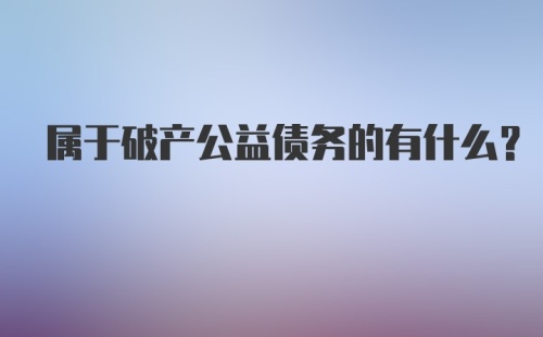 属于破产公益债务的有什么？