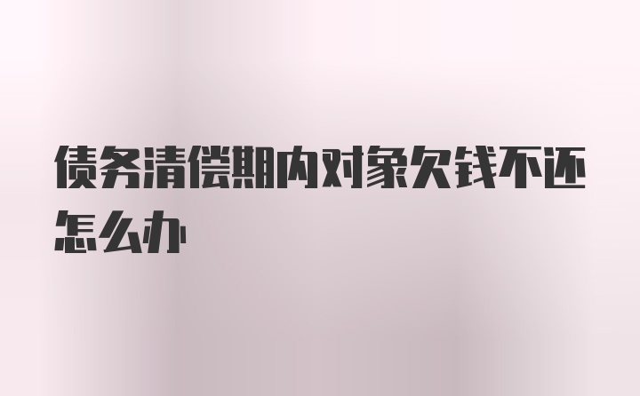 债务清偿期内对象欠钱不还怎么办