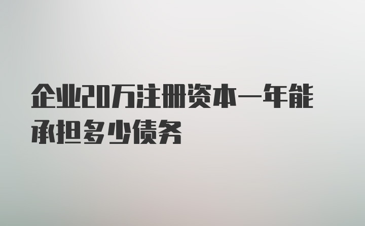 企业20万注册资本一年能承担多少债务