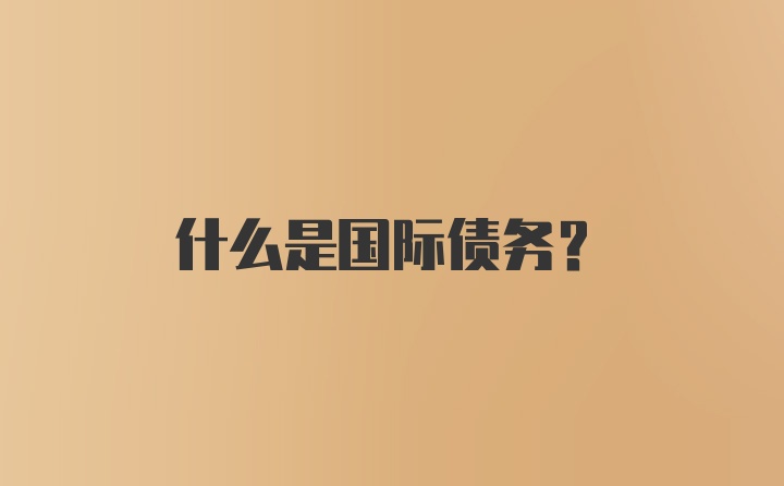 什么是国际债务?