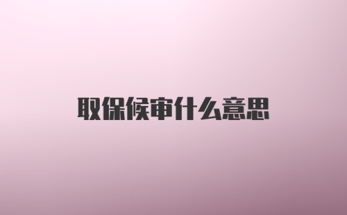 取保候审什么意思