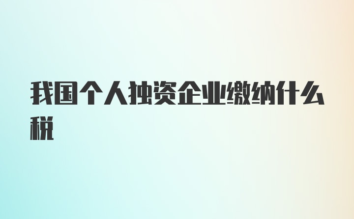 我国个人独资企业缴纳什么税