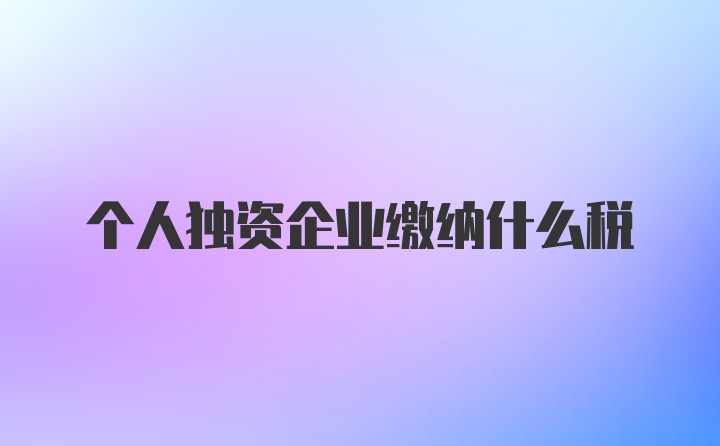 个人独资企业缴纳什么税