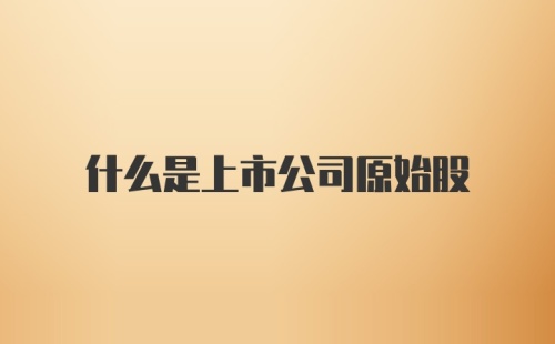 什么是上市公司原始股