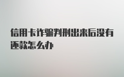 信用卡诈骗判刑出来后没有还款怎么办