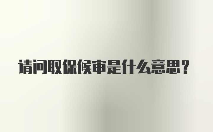 请问取保候审是什么意思？