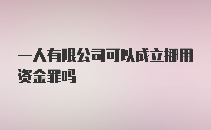 一人有限公司可以成立挪用资金罪吗