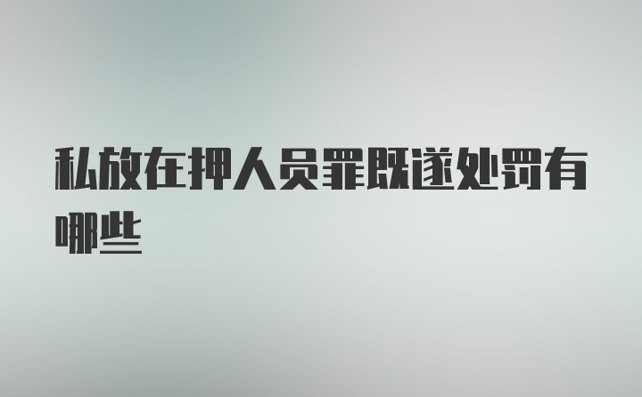 私放在押人员罪既遂处罚有哪些