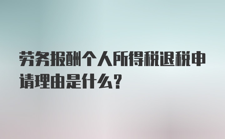 劳务报酬个人所得税退税申请理由是什么?