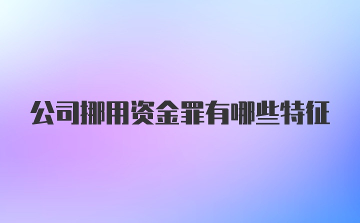 公司挪用资金罪有哪些特征