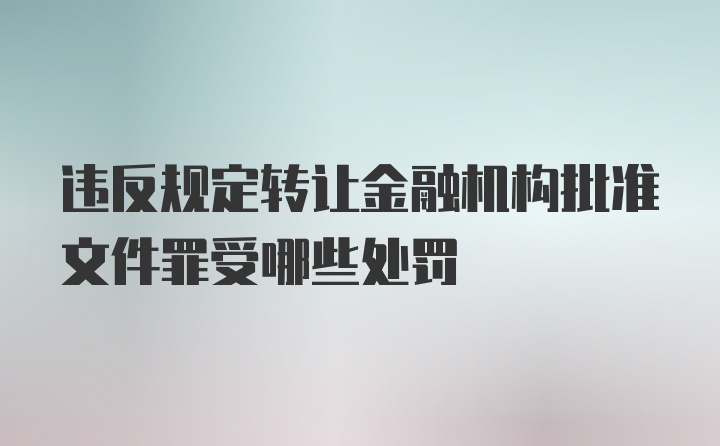 违反规定转让金融机构批准文件罪受哪些处罚