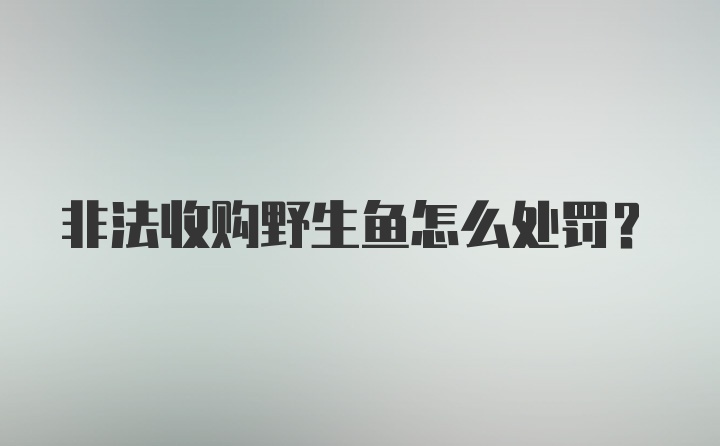 非法收购野生鱼怎么处罚？