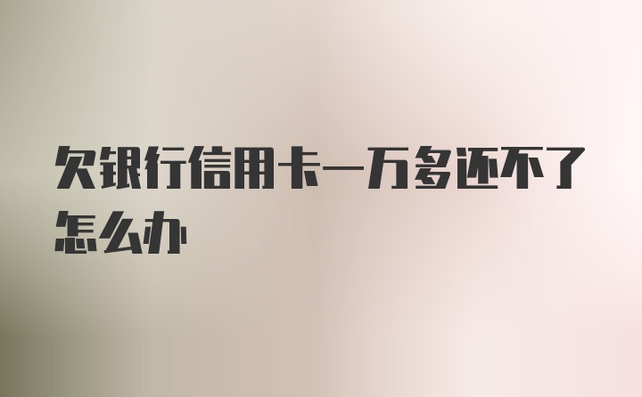 欠银行信用卡一万多还不了怎么办