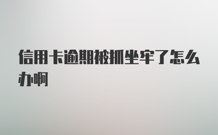 信用卡逾期被抓坐牢了怎么办啊