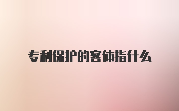 专利保护的客体指什么