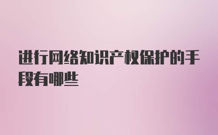 进行网络知识产权保护的手段有哪些