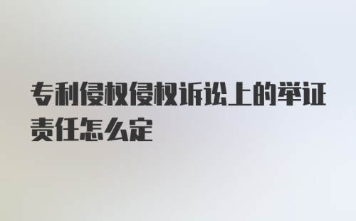 专利侵权侵权诉讼上的举证责任怎么定