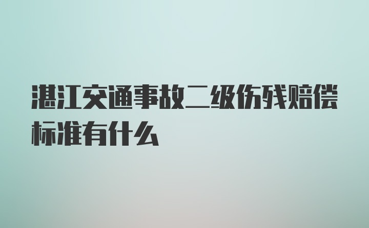 湛江交通事故二级伤残赔偿标准有什么