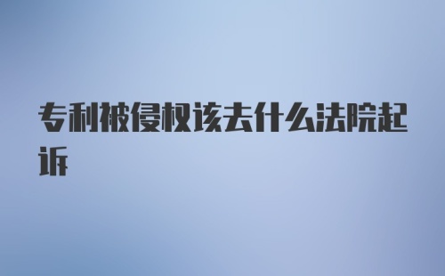 专利被侵权该去什么法院起诉