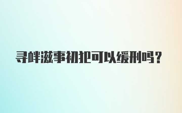 寻衅滋事初犯可以缓刑吗？