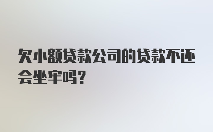 欠小额贷款公司的贷款不还会坐牢吗？