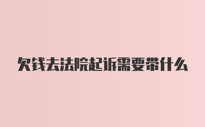 欠钱去法院起诉需要带什么