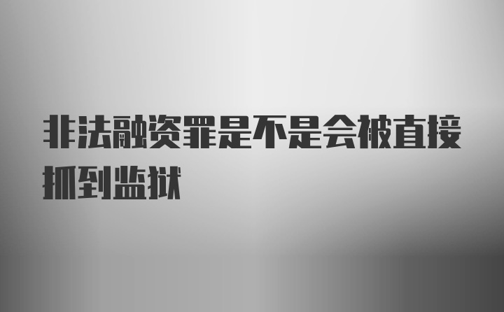 非法融资罪是不是会被直接抓到监狱