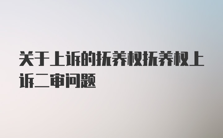 关于上诉的抚养权抚养权上诉二审问题