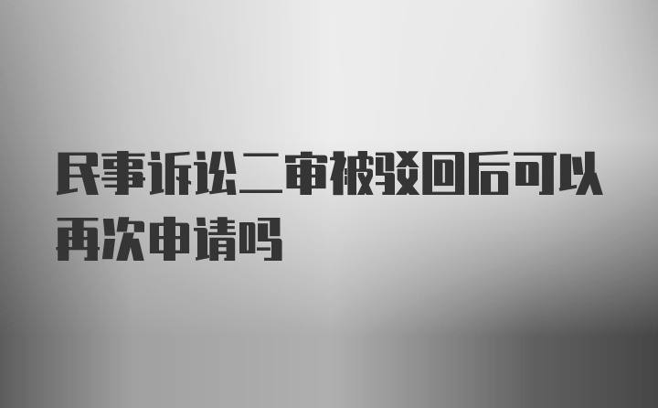 民事诉讼二审被驳回后可以再次申请吗