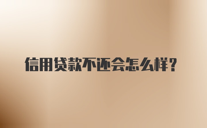 信用贷款不还会怎么样？