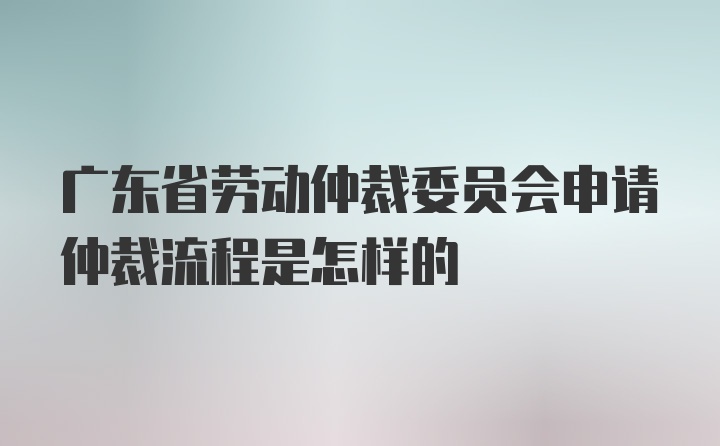 广东省劳动仲裁委员会申请仲裁流程是怎样的