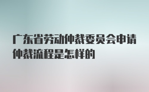 广东省劳动仲裁委员会申请仲裁流程是怎样的