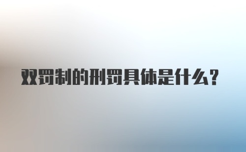 双罚制的刑罚具体是什么?