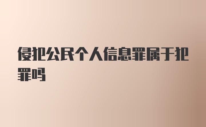 侵犯公民个人信息罪属于犯罪吗