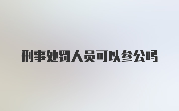 刑事处罚人员可以参公吗