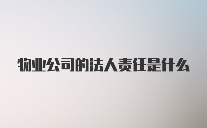 物业公司的法人责任是什么