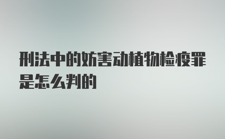 刑法中的妨害动植物检疫罪是怎么判的