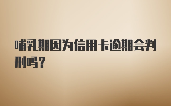 哺乳期因为信用卡逾期会判刑吗？