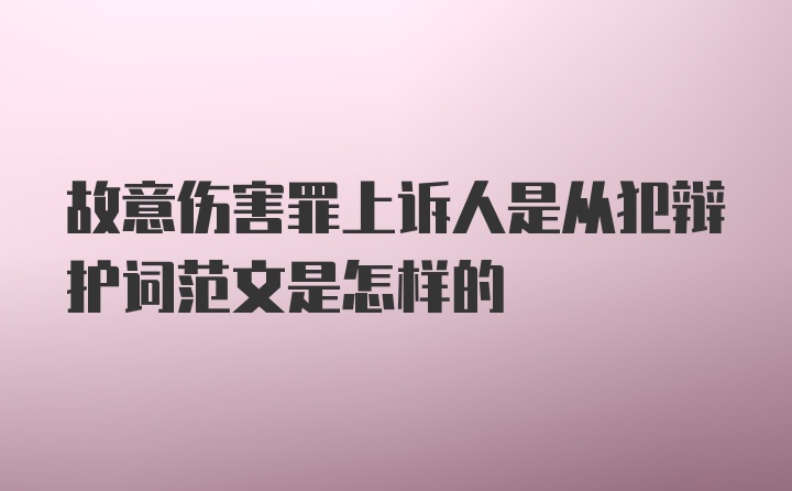 故意伤害罪上诉人是从犯辩护词范文是怎样的