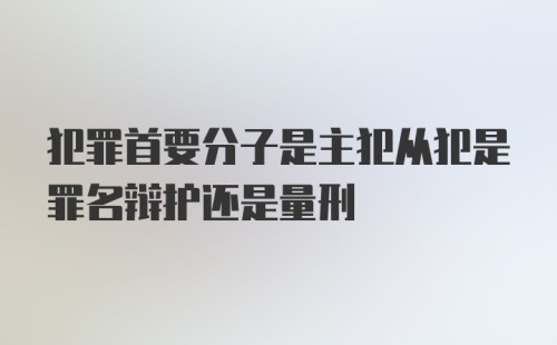 犯罪首要分子是主犯从犯是罪名辩护还是量刑