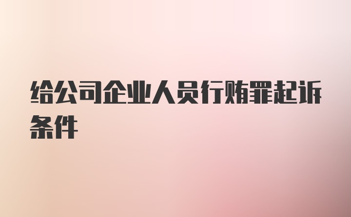 给公司企业人员行贿罪起诉条件