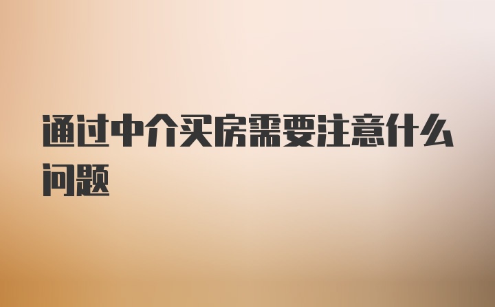 通过中介买房需要注意什么问题