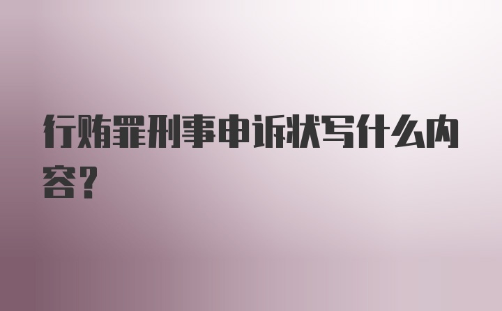 行贿罪刑事申诉状写什么内容？