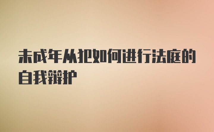 未成年从犯如何进行法庭的自我辩护