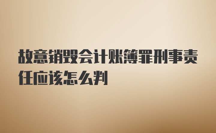 故意销毁会计账簿罪刑事责任应该怎么判