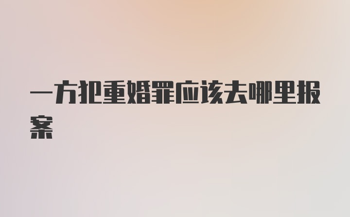 一方犯重婚罪应该去哪里报案