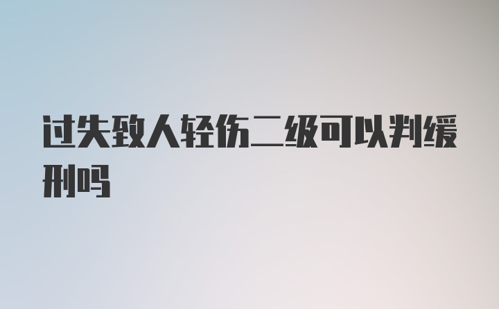 过失致人轻伤二级可以判缓刑吗