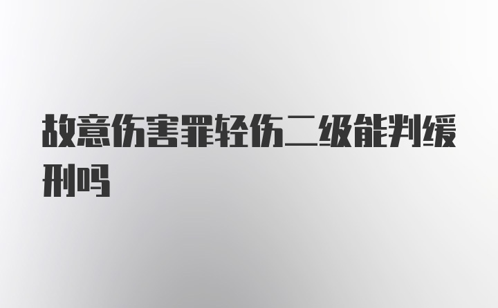 故意伤害罪轻伤二级能判缓刑吗