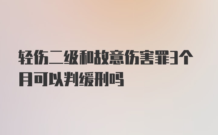 轻伤二级和故意伤害罪3个月可以判缓刑吗